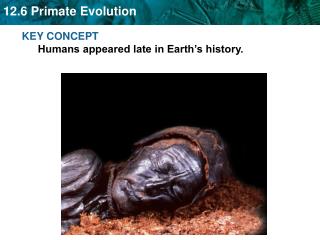 KEY CONCEPT Humans appeared late in Earth’s history.