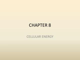 CHAPTER 8