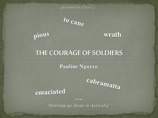 THE COURAGE OF SOLDIERS
