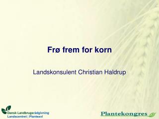 Frø frem for korn