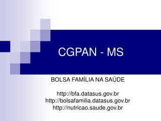 CGPAN - MS