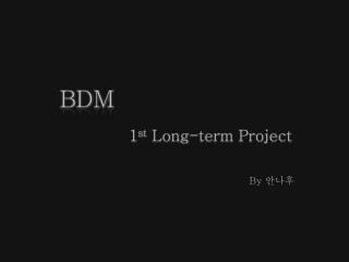 BDM 1 st Long-term Project