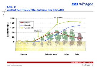 Abb. 1: Verlauf der Stickstoffaufnahme der Kartoffel