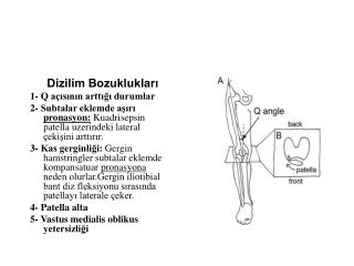 Dizilim Bozuklukları 1- Q açısının arttığı durumlar