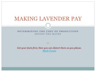 MAKING LAVENDER PAY