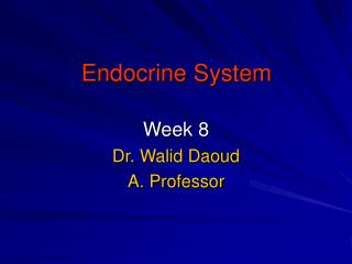 Endocrine System