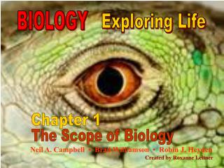 CONCEPT 1.1 Biology explores life from the global to the microscopic scale.