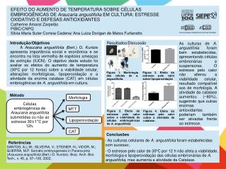 Introdução/Objetivos