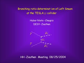 Outline ●The smuon left decay into SPS1a scenario. ●A brief approach to the TESLA photon collider.