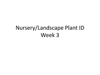 Nursery/Landscape Plant ID Week 3