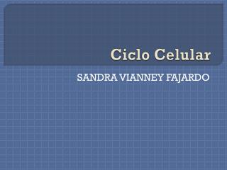 Ciclo Celular