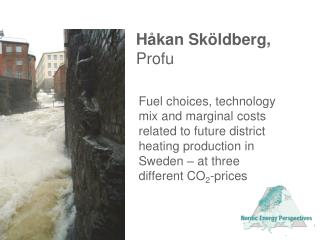 Håkan Sköldberg, Profu