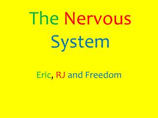 The Nervous System