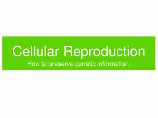Cellular Reproduction