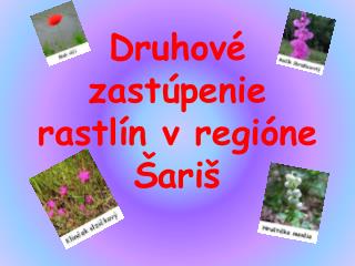 Druhové zastúpenie rastlín v regióne Šariš