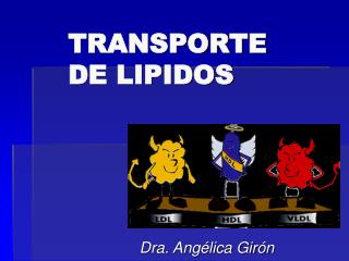 TRANSPORTE DE LIPIDOS