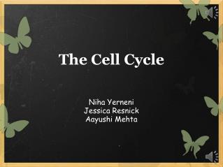 The Cell Cycle