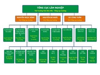 TỔNG CỤC LÂM NGHIỆP Thứ tr ưởng Hứa Đức Nhị - Tổng cục tr ưởng