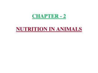 CHAPTER - 2 NUTRITION IN ANIMALS