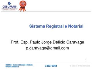 Prof. Esp. Paulo Jorge Delício Caravage pravage@gmail