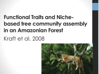 Functional Traits and Niche-based tree community assembly in an Amazonian Forest