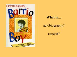 What is… autobiography? excerpt?