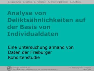 Analyse von Deliktsähnlichkeiten auf der Basis von Individualdaten