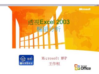 透視 Excel 2003 樞紐分析