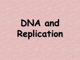 DNA and Replication
