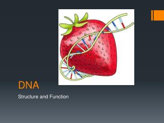 DNA