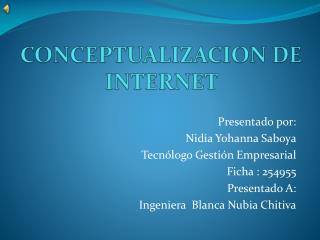 CONCEPTUALIZACION DE INTERNET