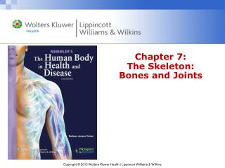 Chapter 7: The Skeleton: Bones and Joints