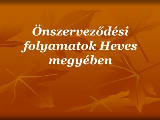Önszerveződési folyamatok Heves megyében