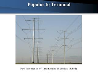 Populus to Terminal