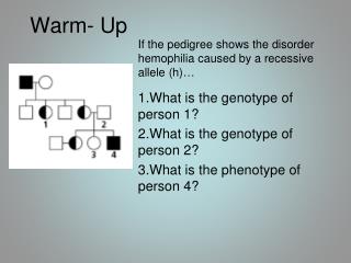 Warm- Up