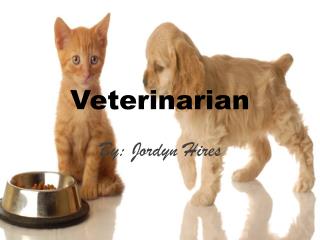 Veterinarian