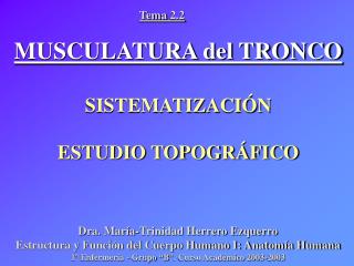 MUSCULATURA del TRONCO SISTEMATIZACIÓN ESTUDIO TOPOGRÁFICO