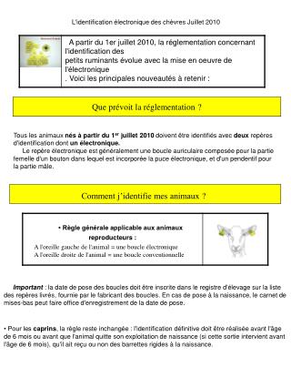 L'identification électronique des chèvres Juillet 2010