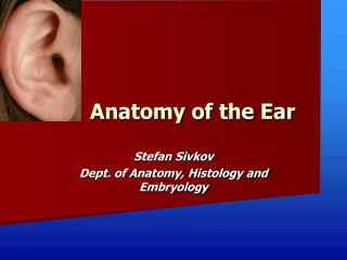 Anatomy of the Ear