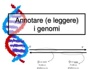 Annotare (e leggere) i genomi