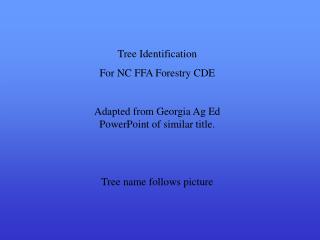 Tree Identification For NC FFA Forestry CDE