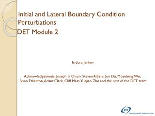 Initial and Lateral Boundary Condition Perturbations DET Module 2