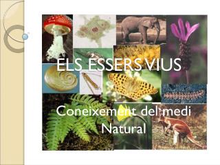ELS ÉSSERS VIUS