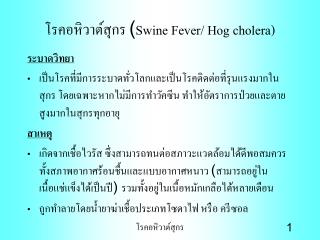 โรคอหิวาต์สุกร ( Swine Fever/ Hog cholera)