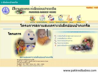 www . pakkredbabies . com