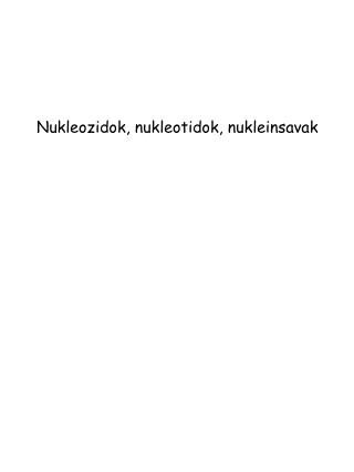 Nukleozidok, n ukleotidok, n ukleinsavak