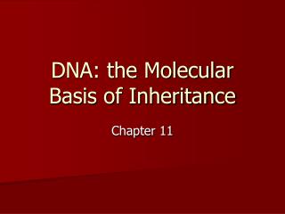 DNA: the Molecular Basis of Inheritance