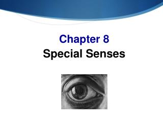 Chapter 8 Special Senses