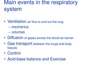 Main events in the respiratory system