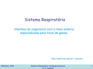 Sistema Respiratório